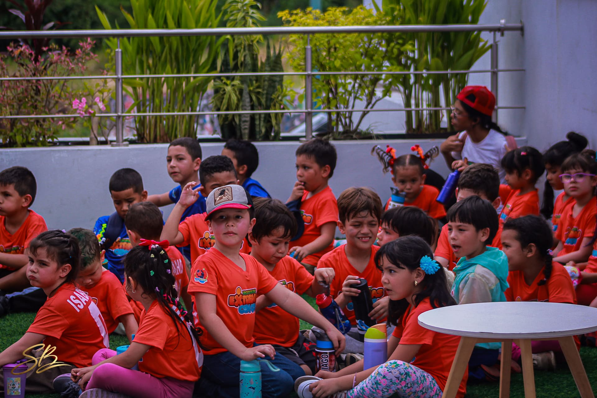 Circuito de aventura en el parque