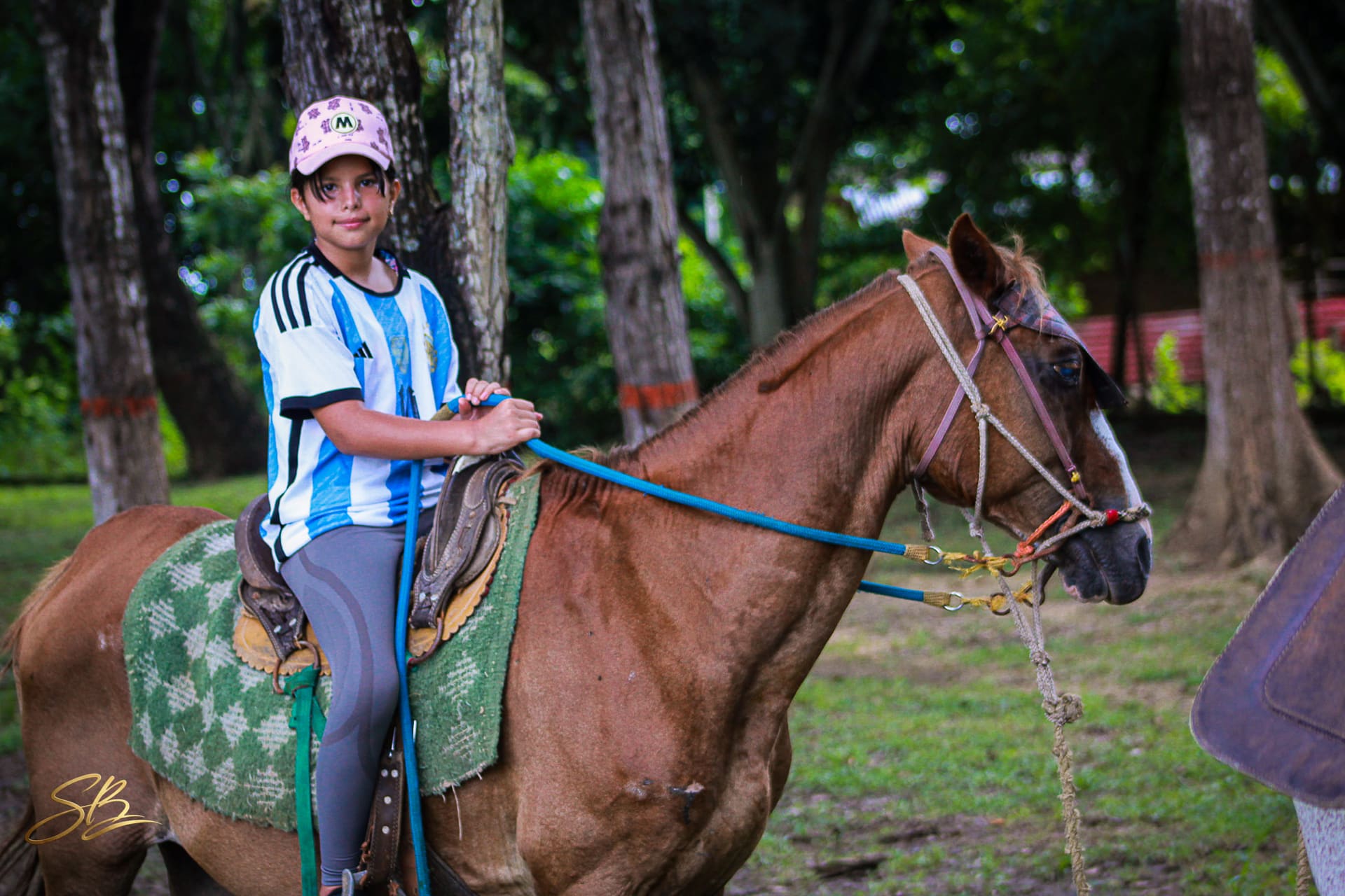 Paseo a caballo
